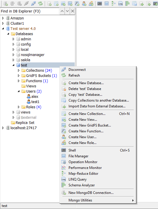 Mongo Database Explorer